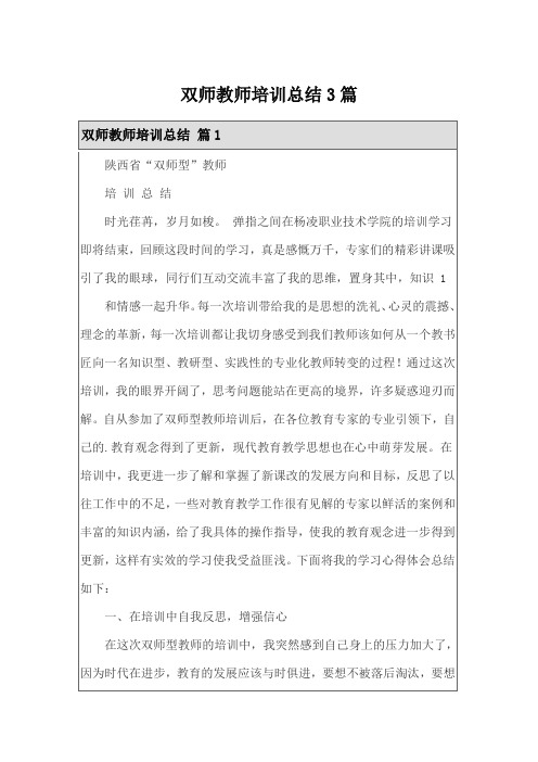 双师教师培训总结3篇