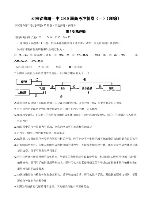 云南省曲靖一中2010届高考冲刺卷(一)(理综)