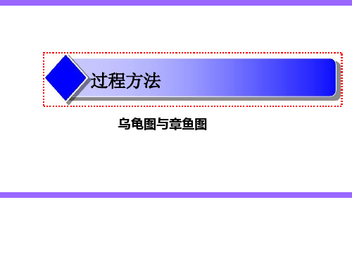 IATF16949过程方法及乌龟图讲解(PPT47页)