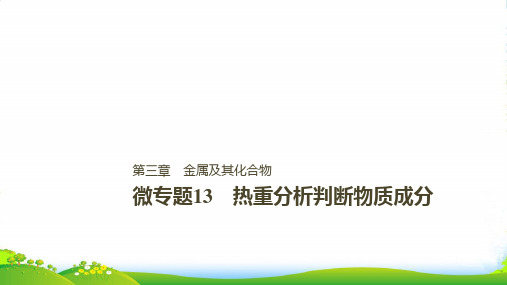 版步步高高中化学一轮复习课件：第三章 金属及其化合物 微专题13PPT21张