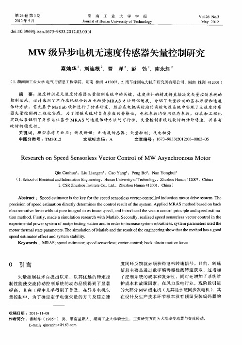 MW级异步电机无速度传感器矢量控制研究