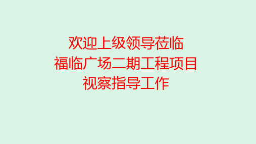智慧工地汇报2019(4)(1)(2)