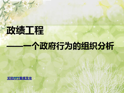 政绩工程