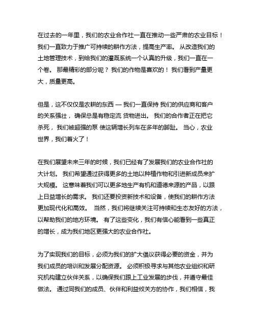 农业合作社现在经营状况及未来三年计划书