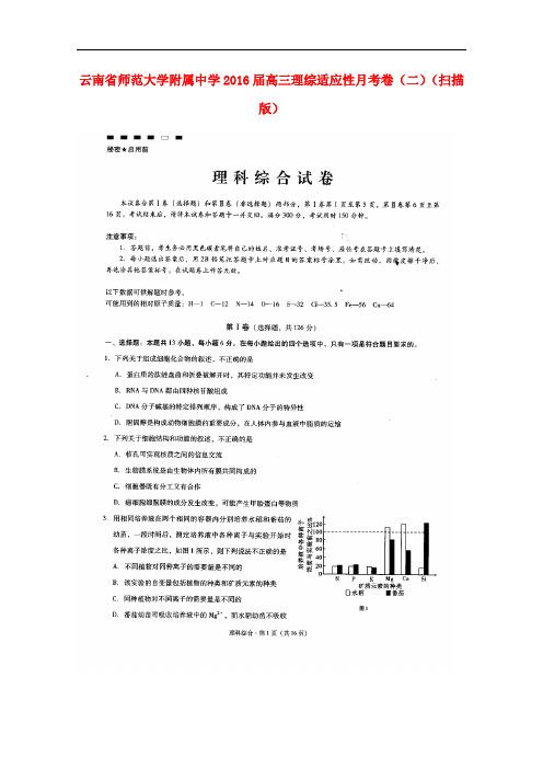 云南省师范大学附属中学高三理综适应性月考卷(二)(扫描版)