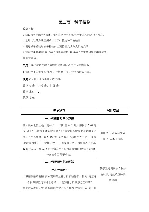 第二节种子植物教案2023--2024学年人教版生物七年级上册