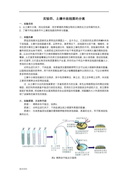 实验四、土壤中放线菌的分离