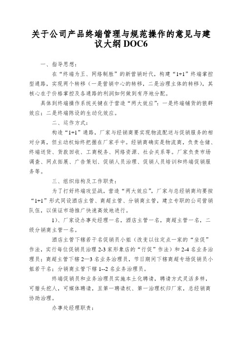 关于公司产品终端管理与规范操作的意见与建议大纲DOC6