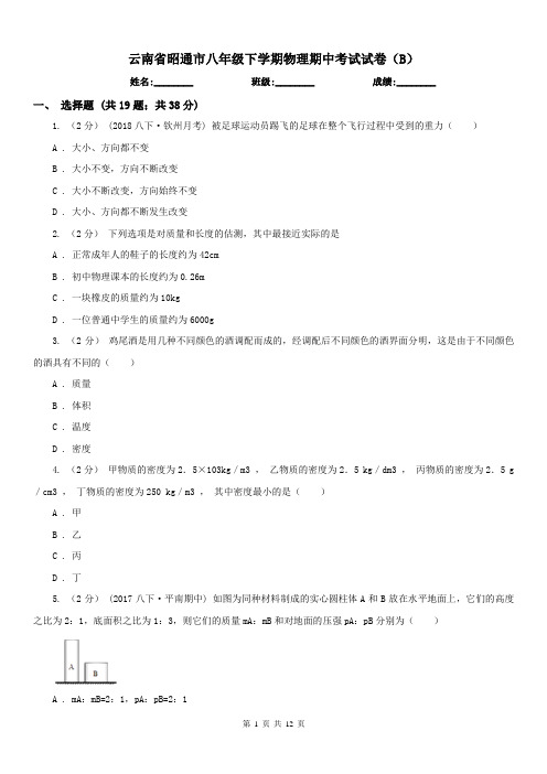 云南省昭通市八年级下学期物理期中考试试卷(B)