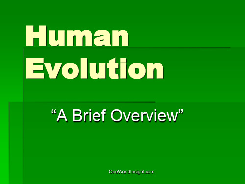 人类进化史【英文精品】Human Evolution