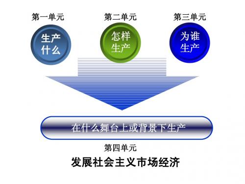 《市场配置资源》333