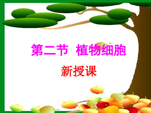 2.植物细胞课件(2)(人教版生物)