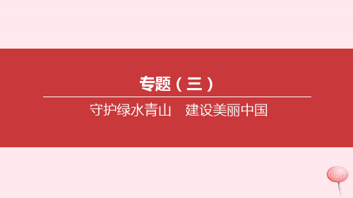 内蒙古2020届中考道德与法治专题复习三守护绿水青山建设美丽中国突破 