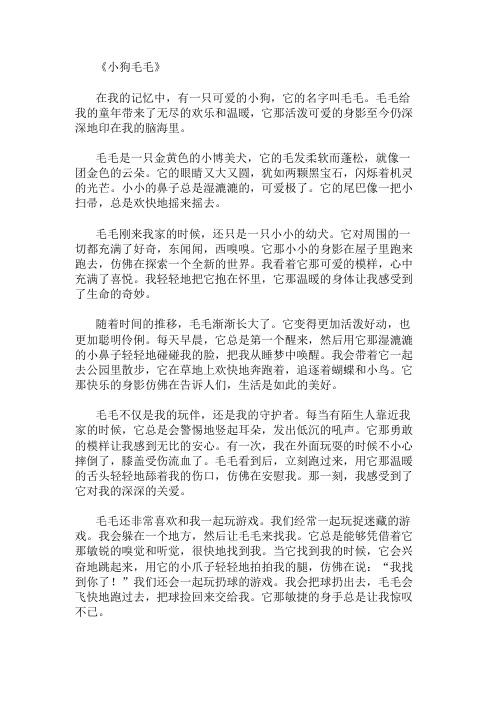 优秀精选：小狗毛毛精选作文