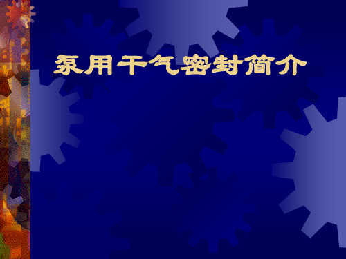 泵用干气密封系统