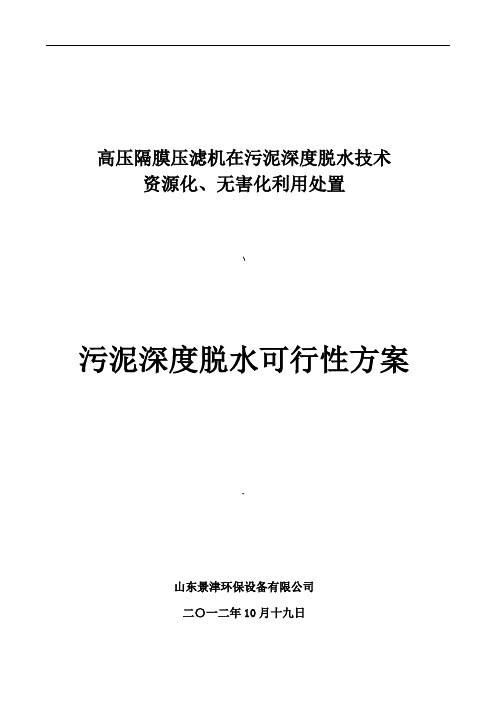 污泥深度脱水可行性方案