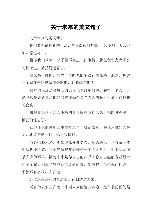 关于未来的美文句子