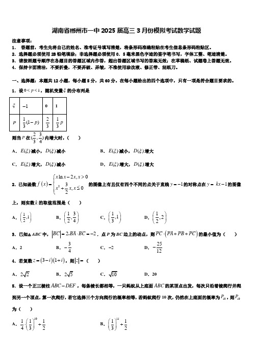 湖南省郴州市一中2025届高三3月份模拟考试数学试题含解析