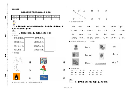 实验幼儿园托管班综合检测试题A卷 附答案