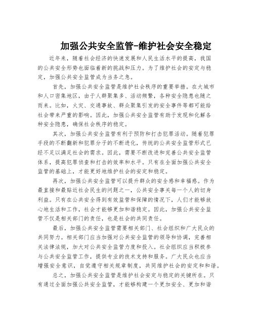 加强公共安全监管-维护社会安全稳定