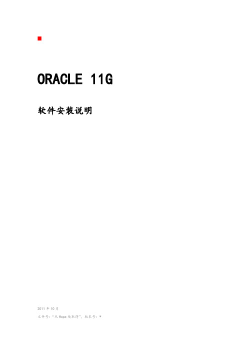 oracle11G软件安装手册