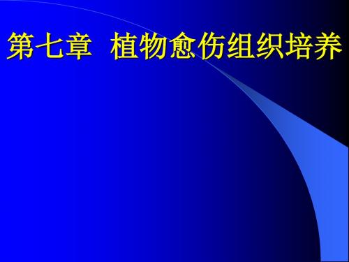 第七章  植物愈伤组织培养