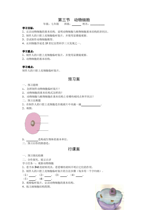 人教版七年级上册生物 3.第三节  动物细胞 导学案