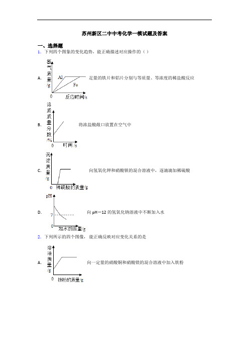 苏州新区二中中考化学一模试题及答案