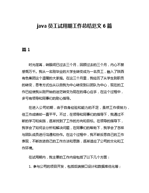 java员工试用期工作总结范文6篇