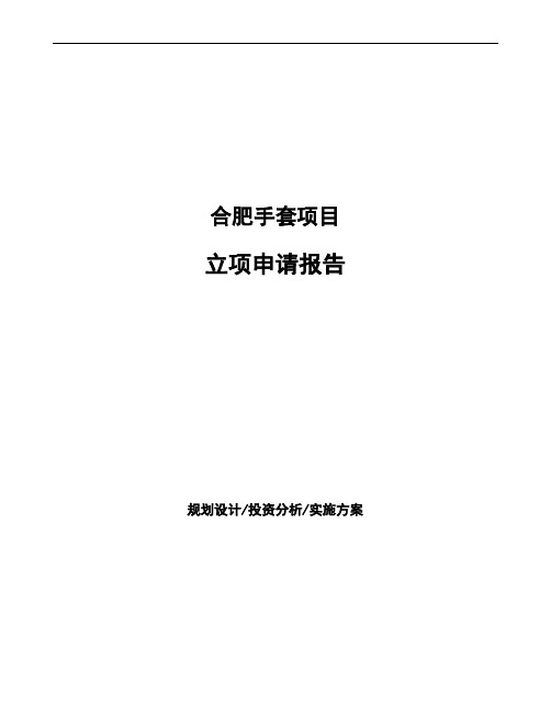 合肥手套项目立项申请报告 (1)