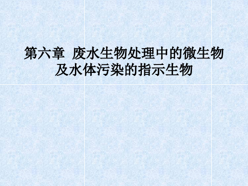 水处理微生物学第六章  废水生物处理中的微生物及水体污染的指示生物-文档资料