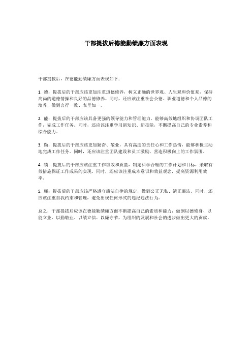 干部提拔后德能勤绩廉方面表现