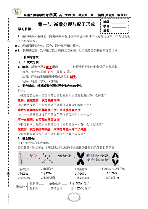 减数分裂与配子形成学案(含答案).