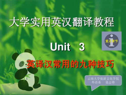 Unit   3  英译汉常用的九种技巧