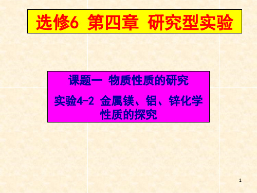 人教版高中化学选修6金属镁铝锌化学性质的探究教学课件