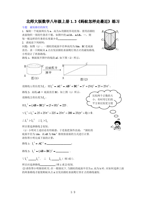 北师大版数学八年级上册1.3《蚂蚁怎样走最近》练习