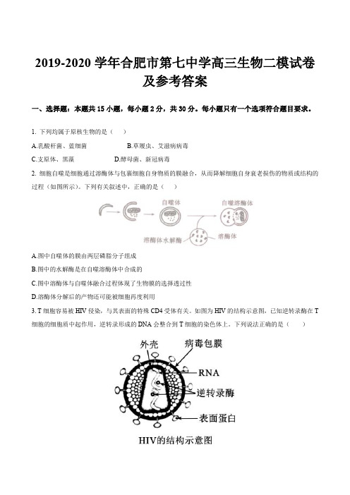 2019-2020学年合肥市第七中学高三生物二模试卷及参考答案