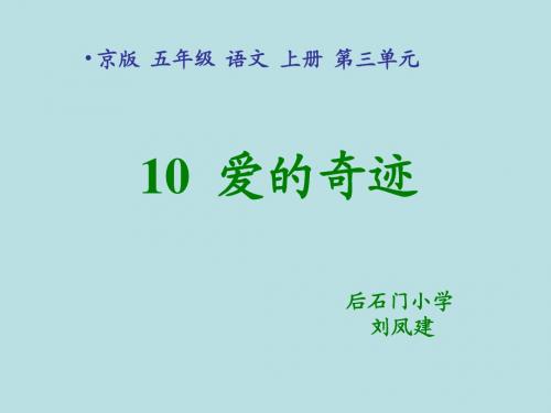 五年级语文上册10《爱的奇迹》课件  2