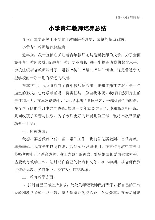 小学青年教师培养总结