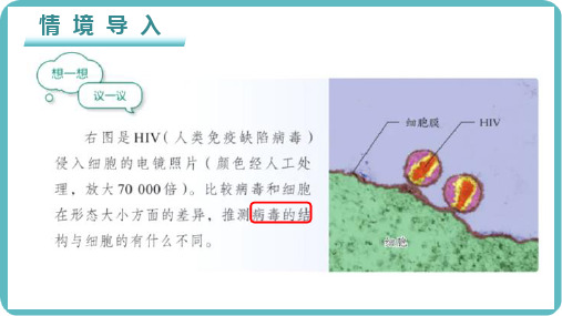 人教版生物七年级上册2.3.4《病毒》课件