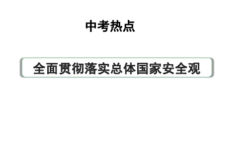 河南省2024年道法中考热点备考重难专题：全面贯彻落实总体国家安全观(课件)