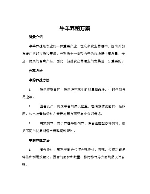 牛羊养殖方案