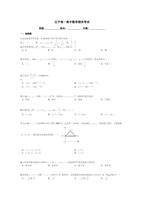 辽宁高一高中数学期末考试带答案解析
