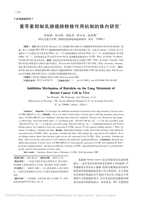 黄芩素抑制乳腺癌肺转移作用机制的体内研究_闫婉君