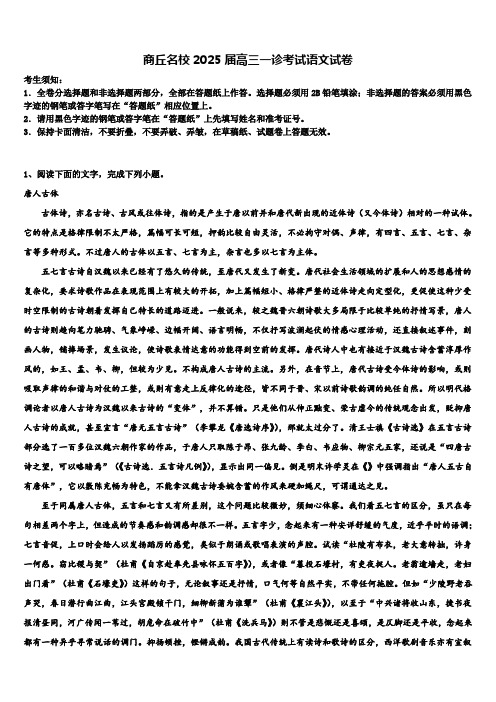 商丘名校2025届高三一诊考试语文试卷含解析