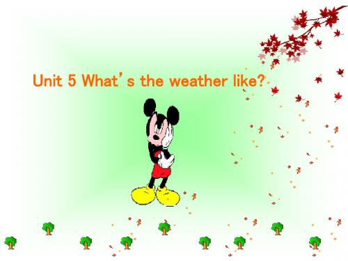 英语：Unit-5-《What’s-the-Weather-like？》复习课件(1)(北京课改版七年级下)