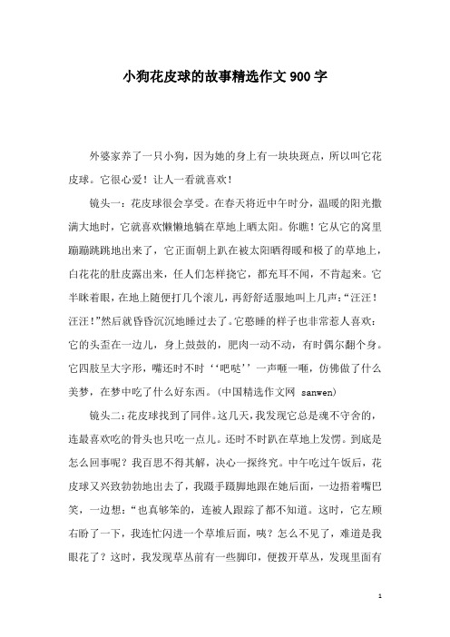 小狗花皮球的故事精选作文900字