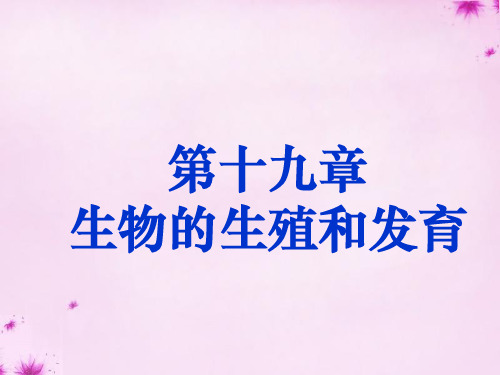 八年级生物上册 第十九章 第一节 人的生殖和发育课件 北师大版