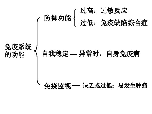 10-11第三节免疫系统的功能异常