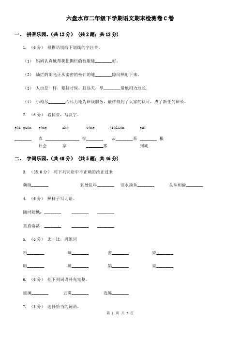 六盘水市二年级下学期语文期末检测卷C卷